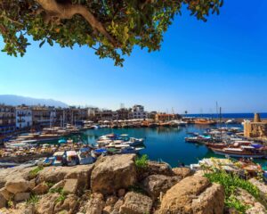 Yellow slip Cyprus in 2025. A comprehensive guide