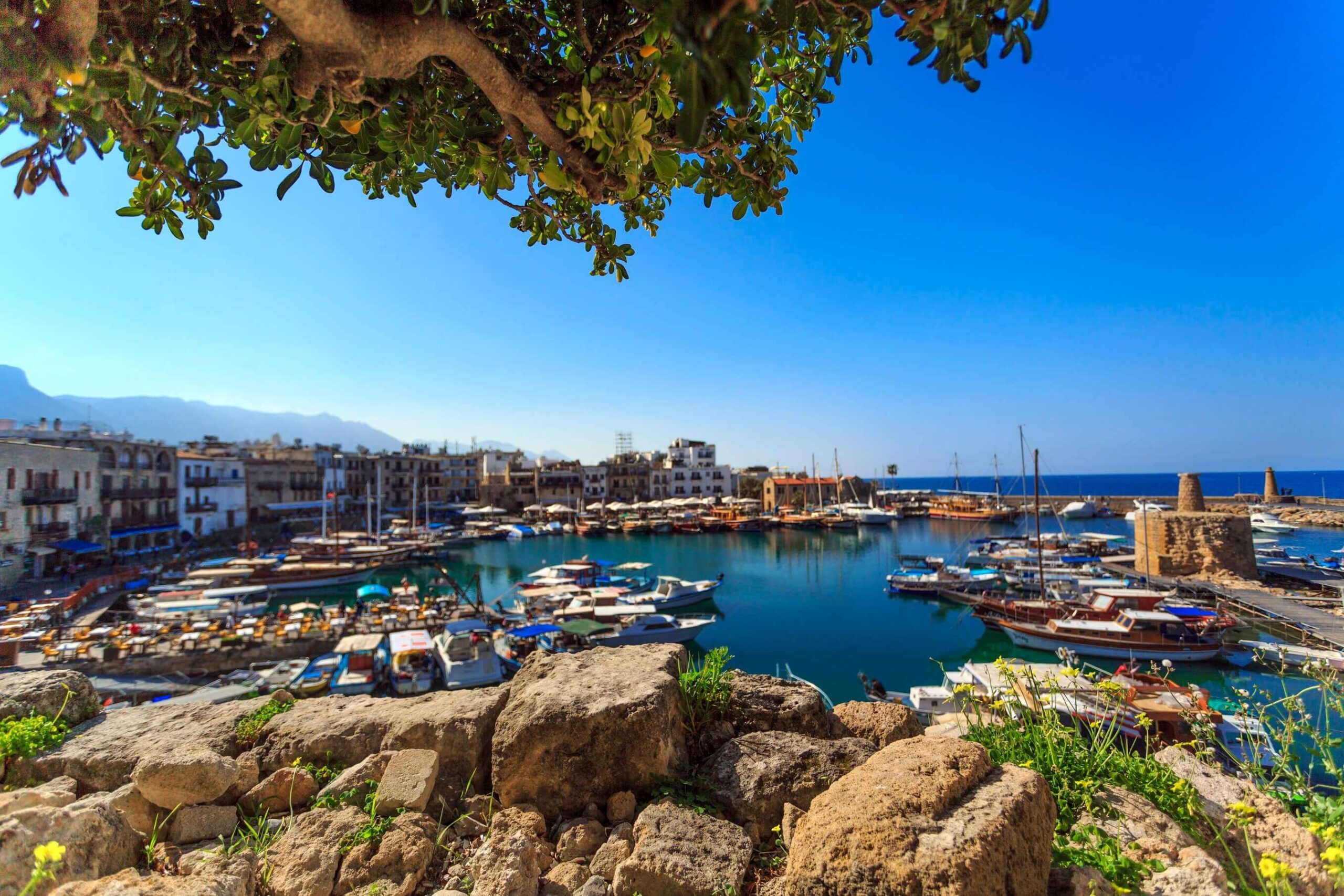 Yellow slip Cyprus in 2025. A comprehensive guide