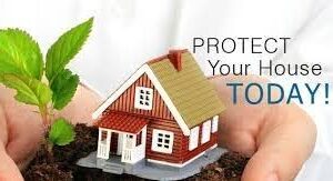 Expatriates Home Insurances Terms