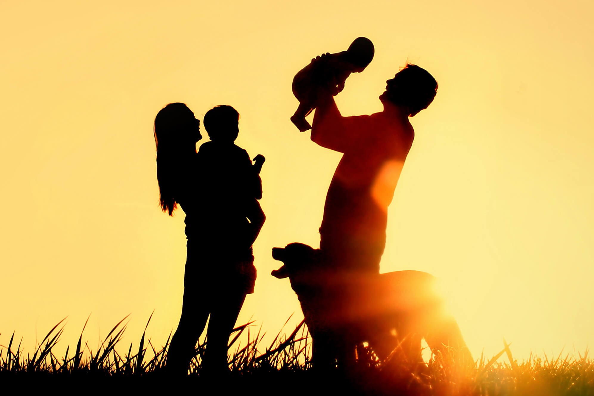 Life insurance vs health insurance in 2026. A complete guide