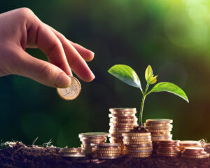 Provident Funds in Cyprus in 2025. A complete guide.