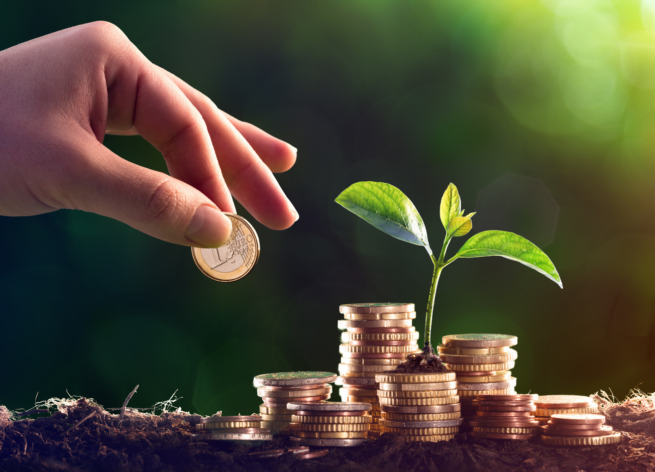 Provident Funds in Cyprus in 2025. A complete guide.
