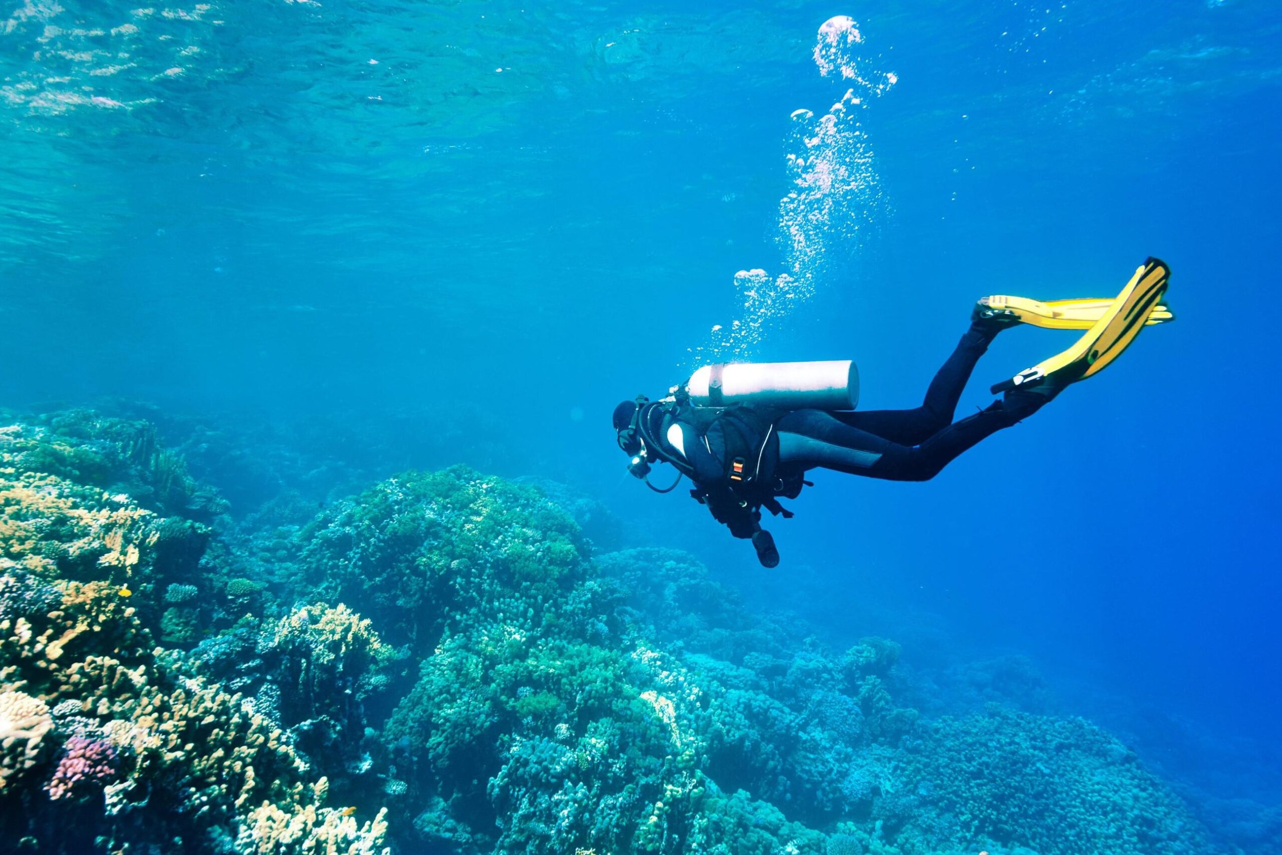 Diving insurance in 2025. A complete guide.