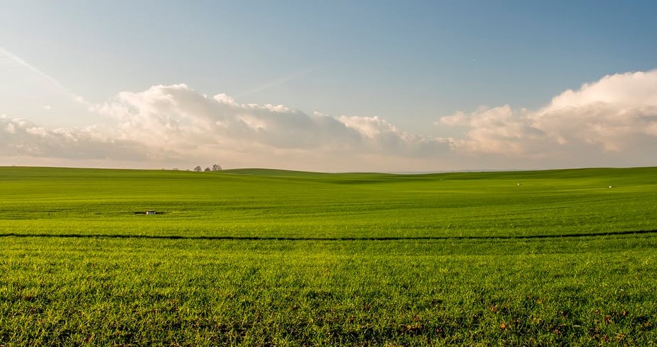 Vacant land insurance in 2025. A complete guide.